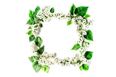 çerçeve çiçekli dalları