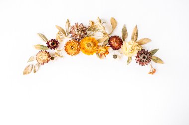 Sarı kuru çiçekler, dalları