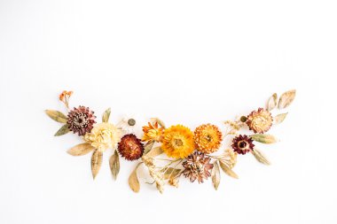 Sarı kuru çiçekler, dalları