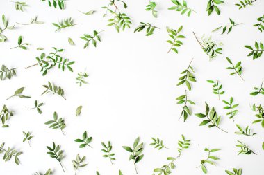 çerçeve çiçekli dalları