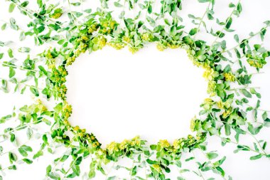  çerçeve ile sarı çiçekler