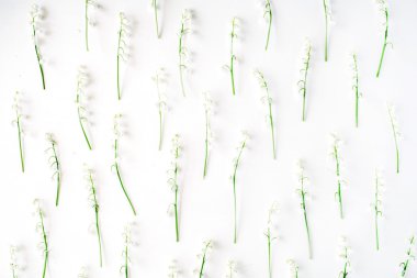 beyaz üzerine vadideki zambak