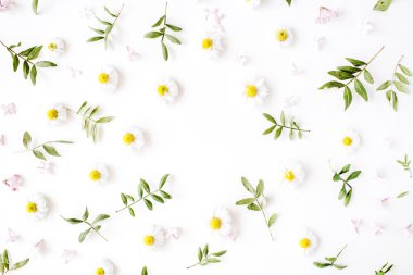 papatya çiçeği ile çerçeve çiçek