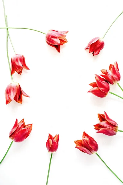Marco de corona con tulipanes rojos — Foto de Stock
