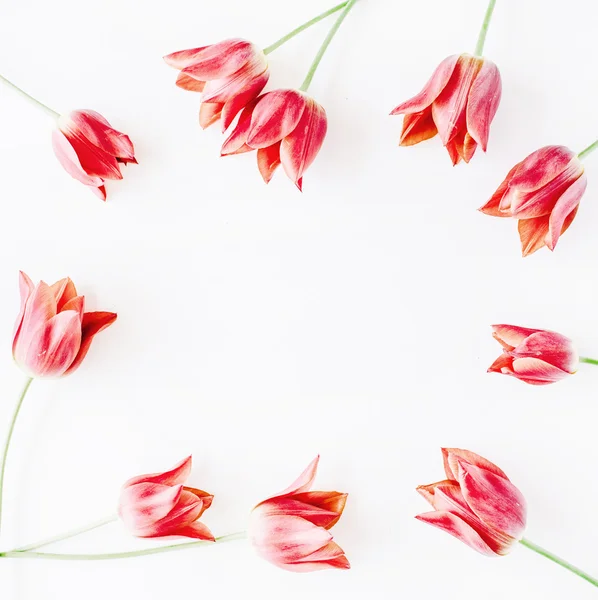 Marco de corona con tulipanes rojos — Foto de Stock