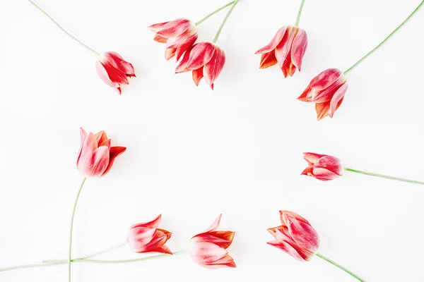 Marco de corona con tulipanes rojos — Foto de Stock