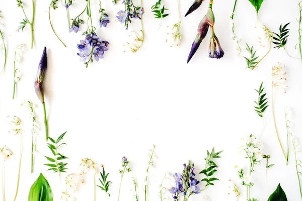 Cornice floreale con fiore di iris viola — Foto Stock