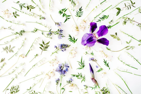 Patroon met paarse iris en lily — Stockfoto