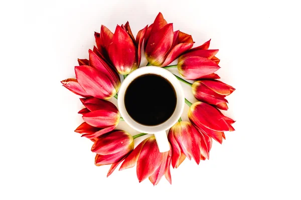 Cup met rode tulp bloemen — Stockfoto