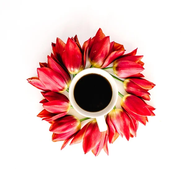 Kırmızı lale çiçek fincanla — Stok fotoğraf
