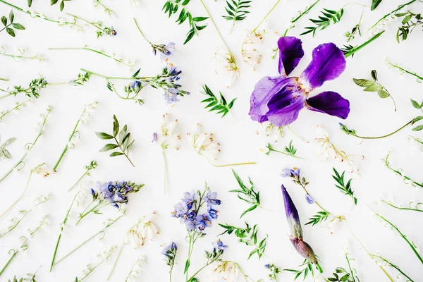 Patroon met paarse iris — Stockfoto