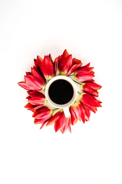 Tazza di caffè con boccioli di fiori di tulipano rosso — Foto Stock