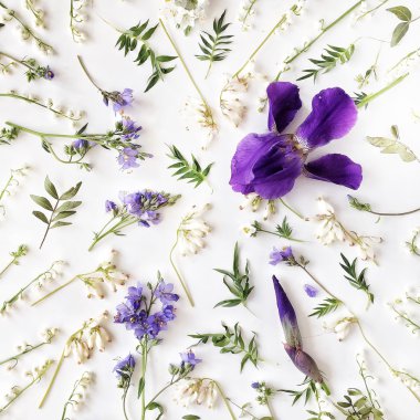 Mor iris ve lily ile desen 