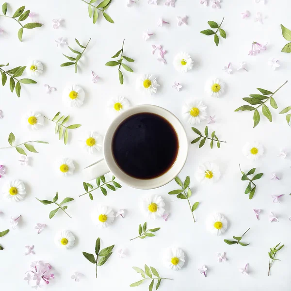 Tazza di caffè con fiori di camomilla — Foto Stock