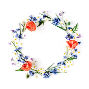 Kırmızı haşhaş ile çerçeve çiçek