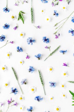 papatya çiçeği ile desen