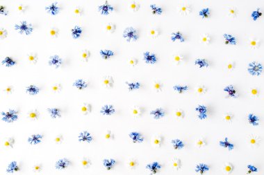 Peygamber ve papatya desen