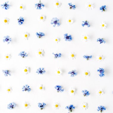 Peygamber ve papatya desen