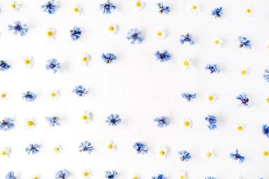 Peygamber ve papatya ile çerçeve çiçek 