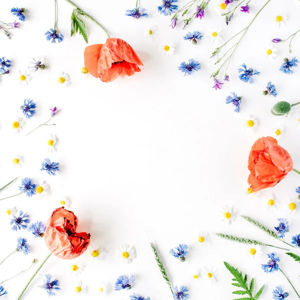 Floral frame with red poppies — Stock Photo, Image