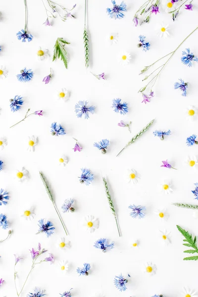 Patrón con flores de manzanilla —  Fotos de Stock