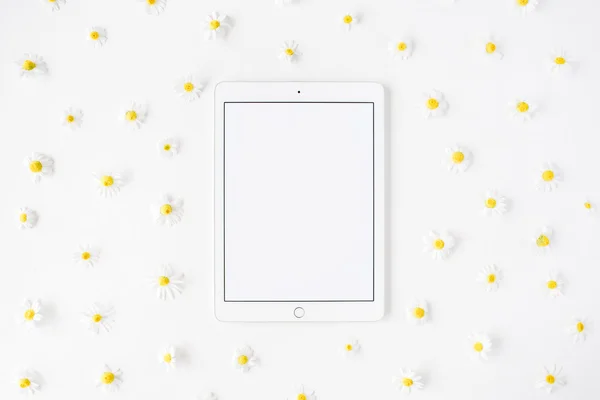 Tablet and chamomile buds — Stock Photo, Image