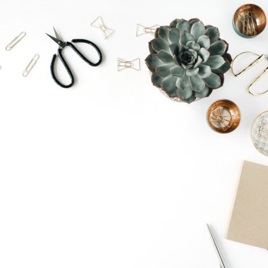 kadınsı Resepsiyon çalışma alanı 