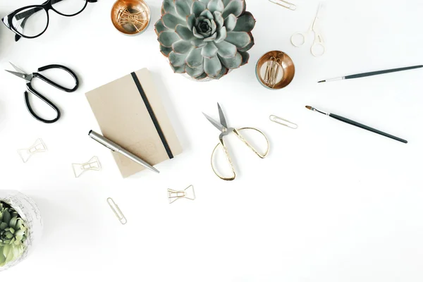 Feminine desk workspace with succulent — Stock Photo, Image