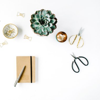 kadınsı Resepsiyon çalışma alanı