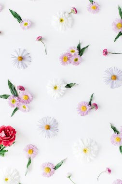 Gül, chamomiles ve yeşil yaprakları 