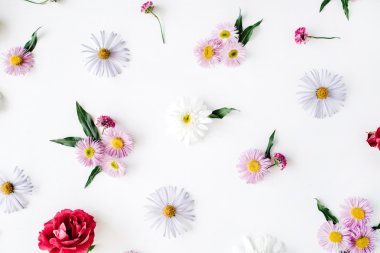 Gül, chamomiles ve yeşil yaprakları 