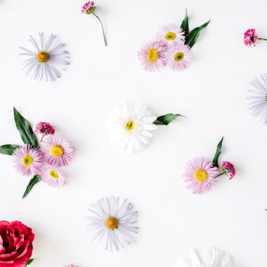 Gül, chamomiles ve yeşil yaprakları 