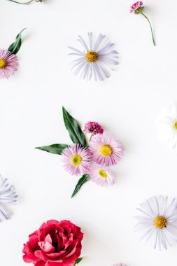 Gül, chamomiles ve yeşil yaprakları 