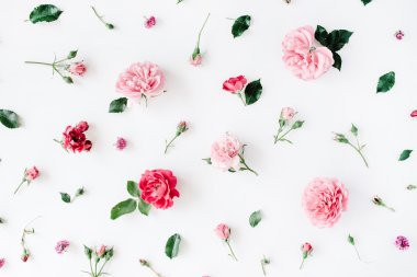 Gül, chamomiles ve yeşil yaprakları