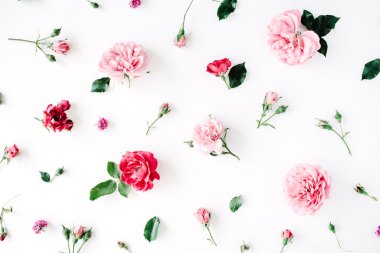 Gül, chamomiles ve yeşil yaprakları