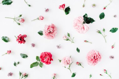 Gül, chamomiles ve yeşil yaprakları 