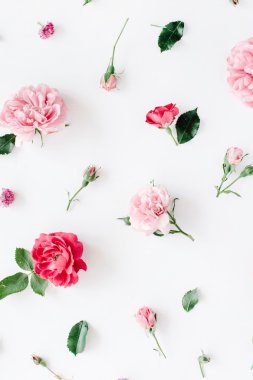 Gül, chamomiles ve yeşil yaprakları