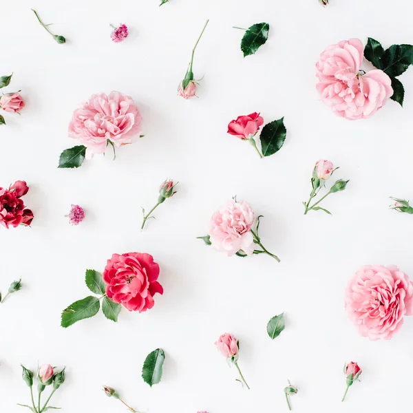 Rosas, manzanillas y hojas verdes — Foto de Stock