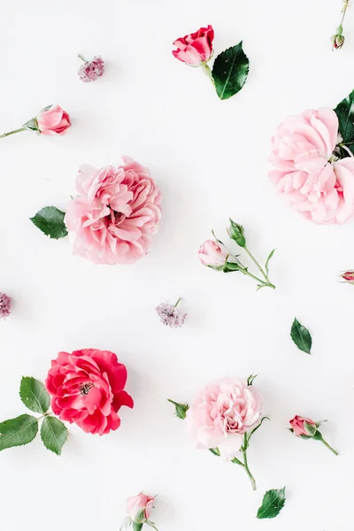 Rosas, camomilas e folhas verdes — Fotografia de Stock