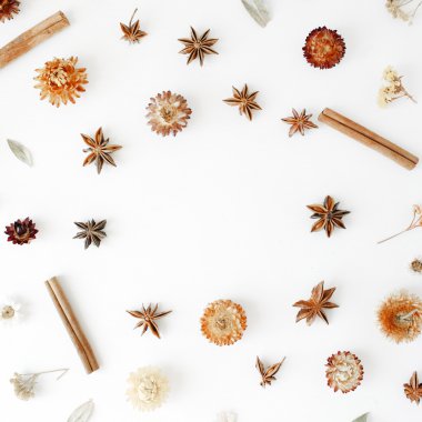 kuru çiçekler, tarçın ve kakule yuvarlak çerçeve