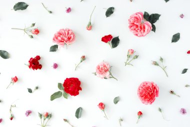 Gül ve yeşil yaprakları 
