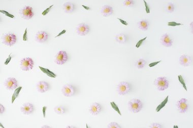 pembe çiçek tomurcukları ile yuvarlak çerçeve çelenk desen