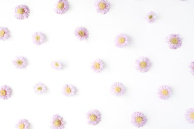 Beyaz arka plan üzerinde papatya desen.