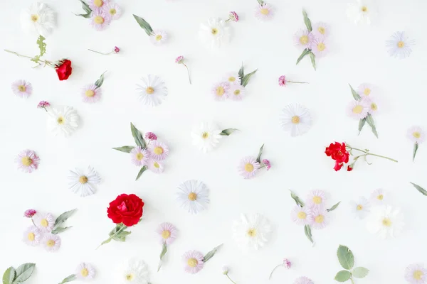 Rosen, Kamillen und grüne Blätter — Stockfoto