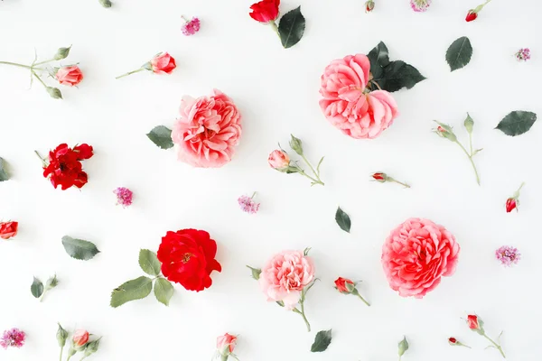 Τριαντάφυλλα και πράσινα φύλλα — Φωτογραφία Αρχείου