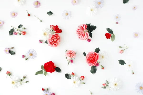 Rosas e folhas verdes em branco — Fotografia de Stock