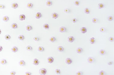 Beyaz arka plan üzerinde papatya desen.