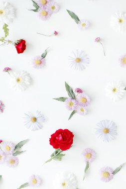 Gül, chamomiles ve yeşil yaprakları