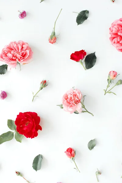 Τριαντάφυλλα και πράσινα φύλλα — Φωτογραφία Αρχείου