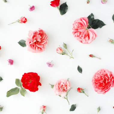 Gül ve yeşil yaprakları